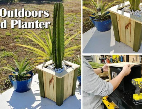 DIY Wood Planter Box